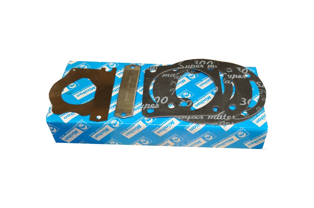 Complete air pump gasket